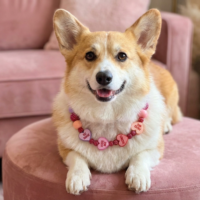 Sweet Talk Me* Pink, Purple & Red Sparkle Conversation Candy Hearts Custom Beaded Dog/Cat Collar Necklace!