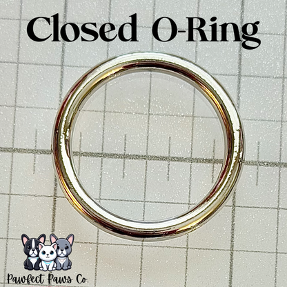 Choose O-Ring (Spring clasp or closed). ADD ON: Collar Strength Upgrade