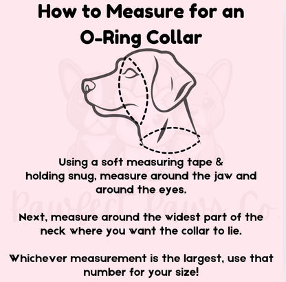 Choose O-Ring (Spring clasp or closed). ADD ON: Collar Strength Upgrade