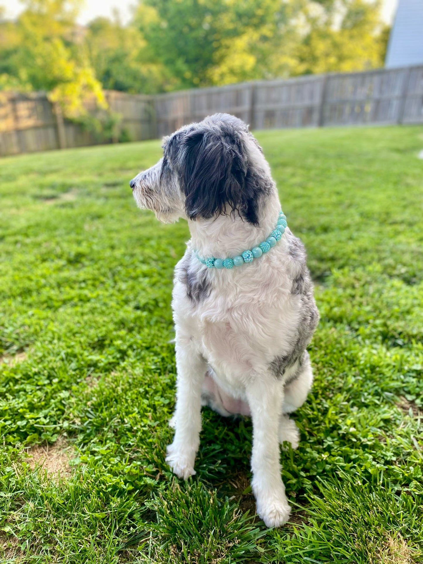 Aqua Flora* Luxury Pastel Teal Sparkle Spring Custom Beaded Dog/Cat Collar Necklace!