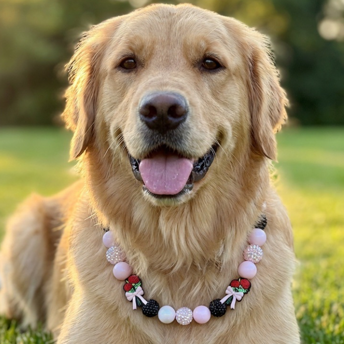 Sweet Roses* Pink & Black Sparkle Valentines Day Custom Beaded Dog/Cat Necklace!