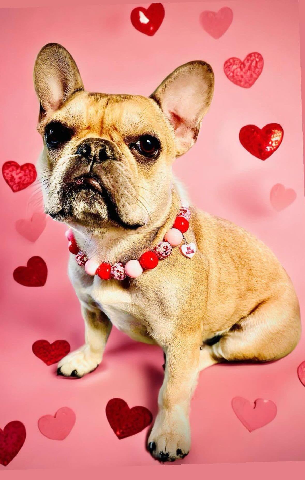 Hugs & Kisses* Pink and Red Sparkle Valentine's Custom Beaded Dog/Cat Collar Necklace!