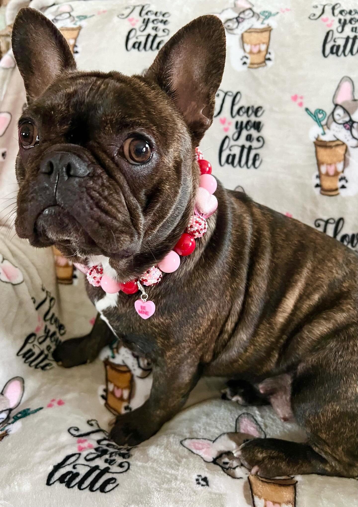 Hugs & Kisses* Pink and Red Sparkle Valentine's Custom Beaded Dog/Cat Collar Necklace!