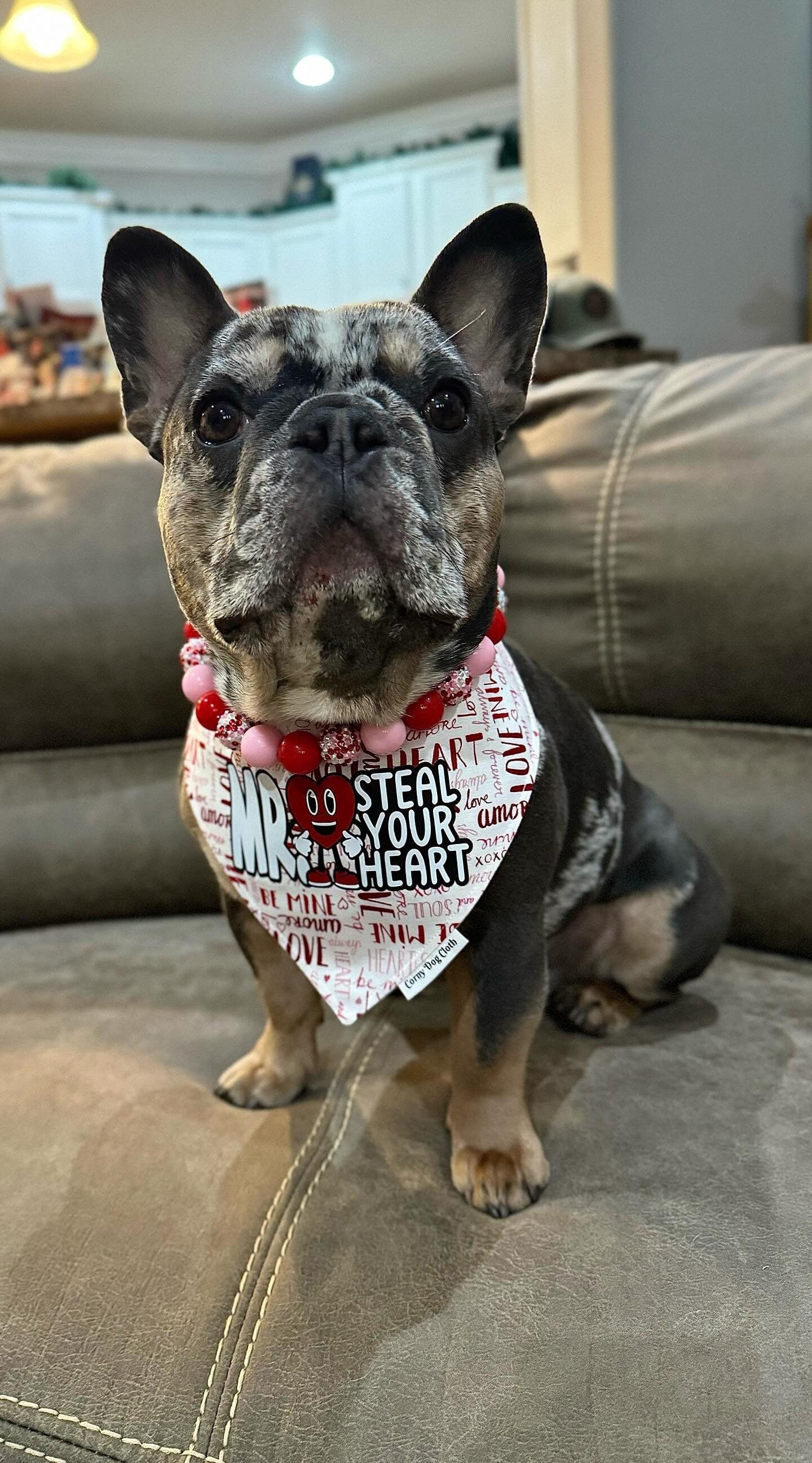 Hugs & Kisses* Pink and Red Sparkle Valentine's Custom Beaded Dog/Cat Collar Necklace!