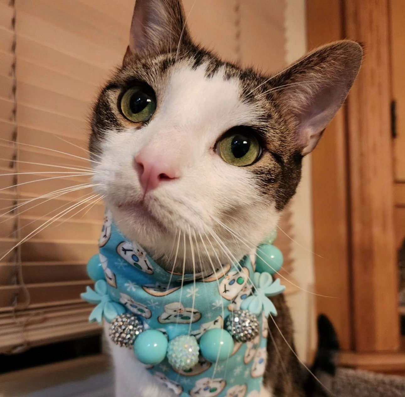 Breakfast at Sniffany's* Teal & White Luxury Sparkle Valentine's Day Bow Custom Beaded Dog/Cat Collar Necklace!