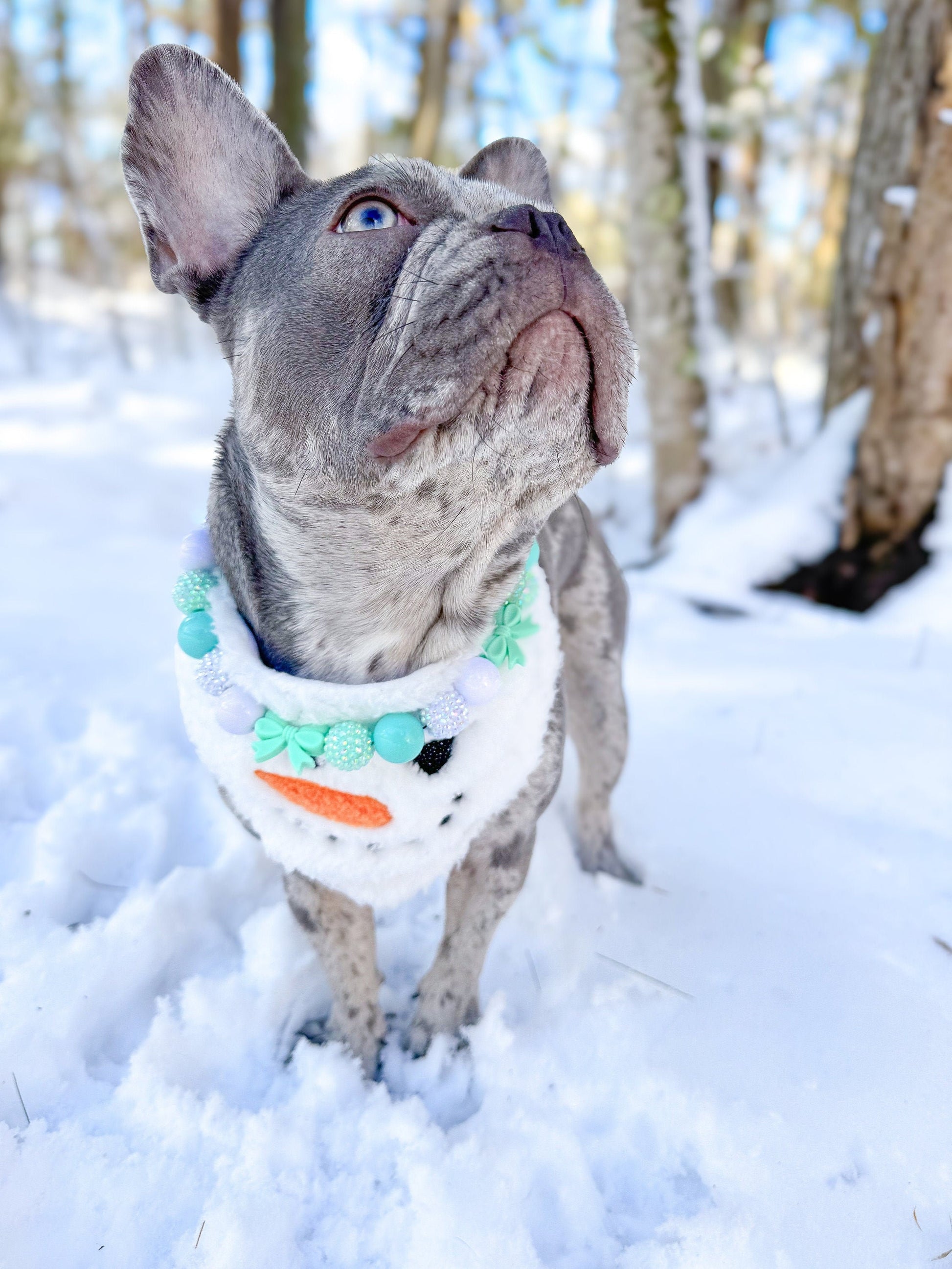 Breakfast at Sniffany's* Teal & White Luxury Sparkle Valentine's Day Bow Custom Beaded Dog/Cat Collar Necklace!