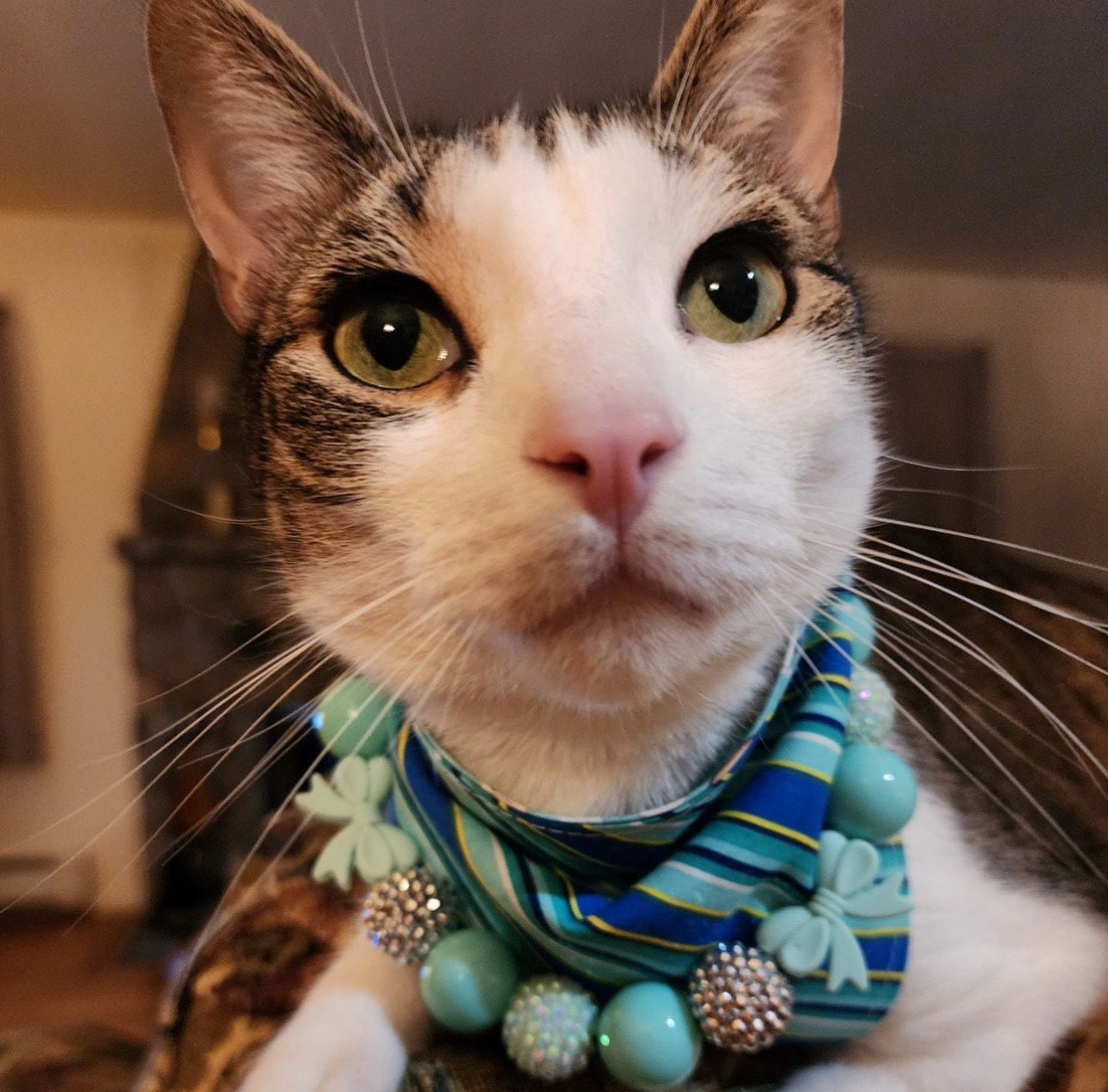 Breakfast at Sniffany's* Teal & White Luxury Sparkle Valentine's Day Bow Custom Beaded Dog/Cat Collar Necklace!