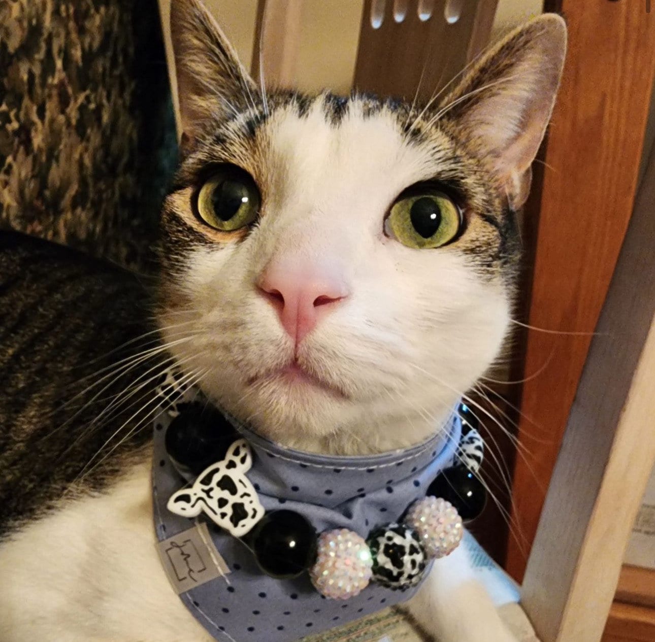 Udderly in Love * Custom Beaded Dog/Cat Collar Necklace!