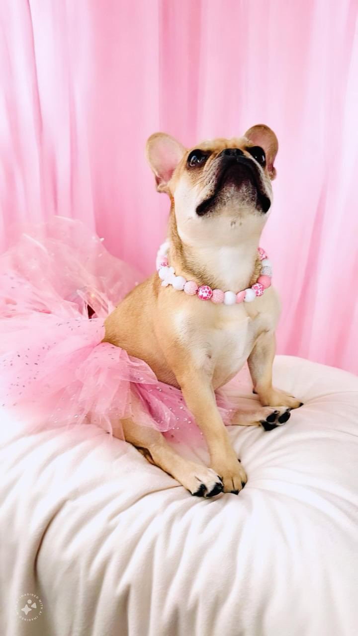 Moo-vie Star* Custom Beaded Dog/Cat Collar Necklace!