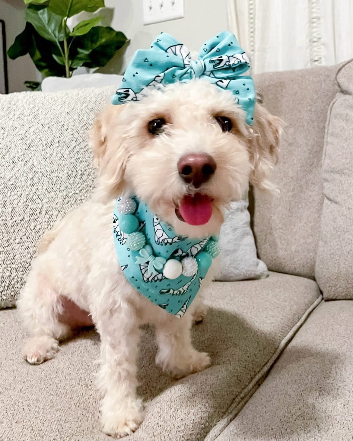 Breakfast at Sniffany's* Teal & White Luxury Sparkle Valentine's Day Bow Custom Beaded Dog/Cat Collar Necklace!