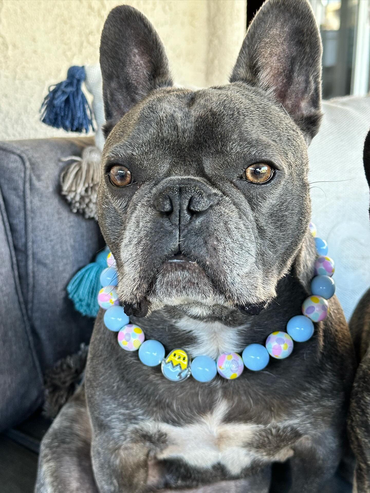 EGGstra Cute* Blue & White Easter Egg Custom Beaded Dog/Cat Collar Necklace!