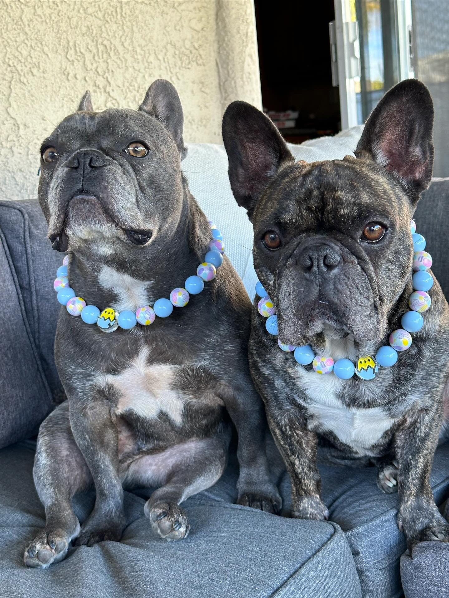 EGGstra Cute* Blue & White Easter Egg Custom Beaded Dog/Cat Collar Necklace!