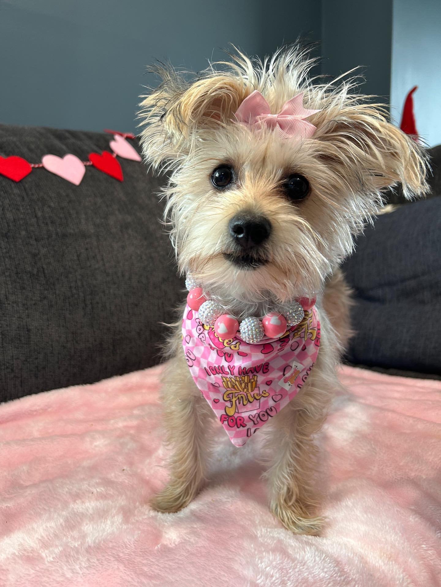 Pink makes me Hoppy* Pink & White Sparkle Easter Bunny Custom Beaded Dog/Cat Collar Necklace!